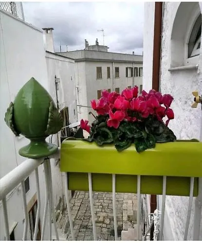 Solis Domus - Aurora